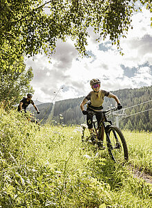 Wild Bachtrail im Tioler Oberland im Sommer